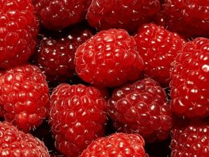 Berry contamination: Patties speaks out